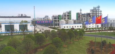 Jiujiang Jiuhong New Material Co., Ltd.